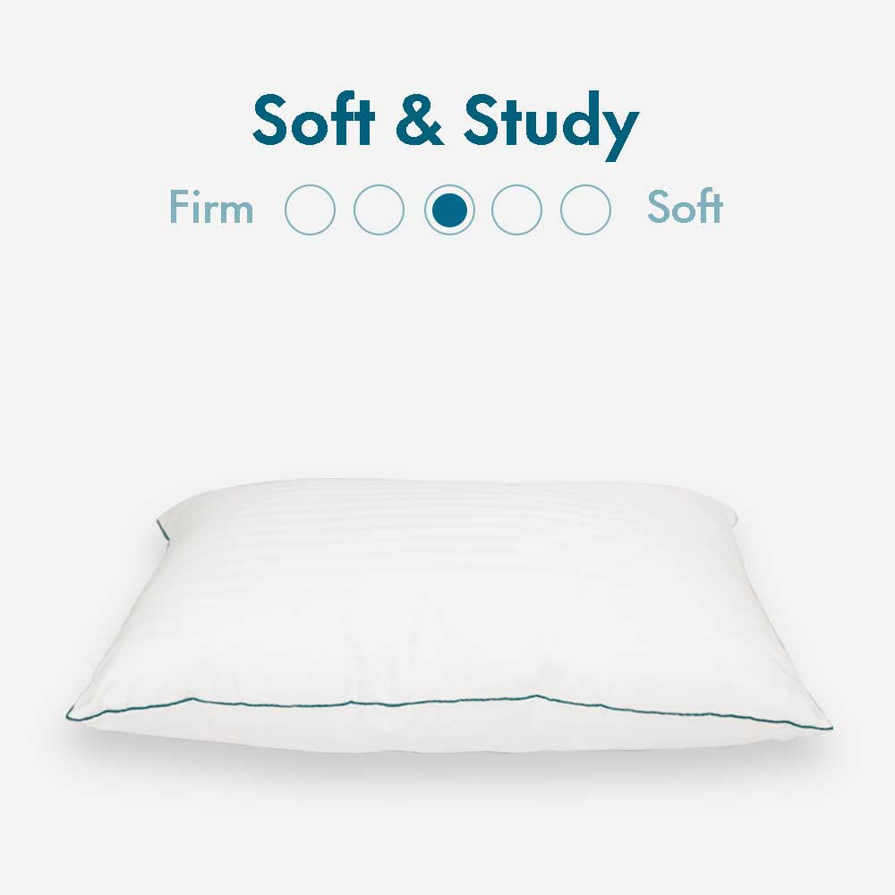 1 Bed Pillow